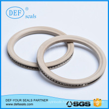 Spring Energized Seals for Industrial From China